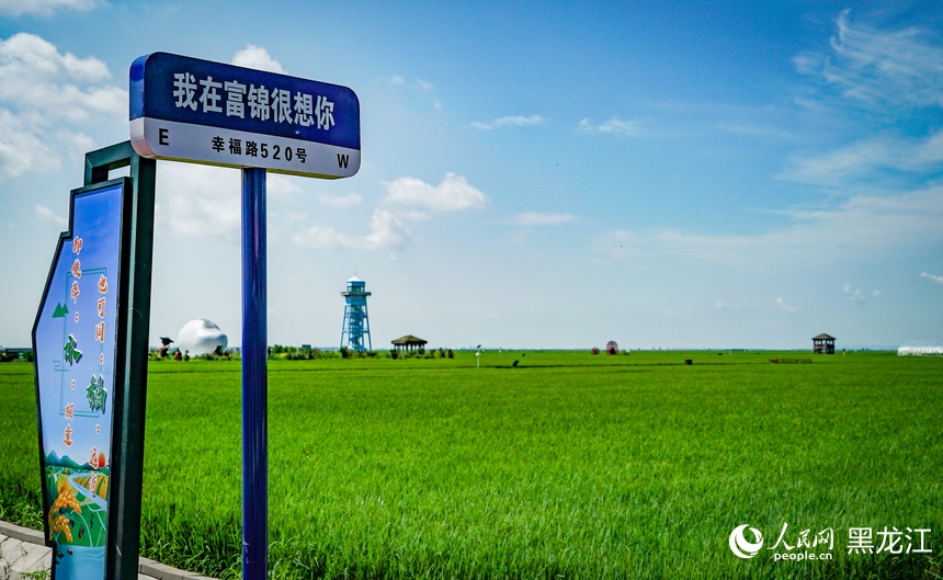 黑龍江富錦：萬畝水稻公園鋪展現代農業(yè)新畫卷