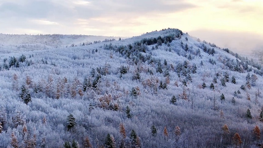 黑龍江漠河：冷空氣帶來降雪 秋冬兩季美景同現