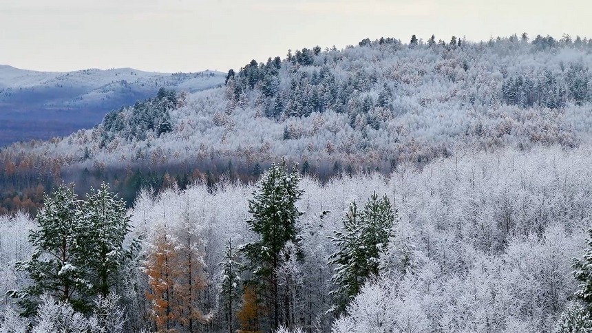 黑龍江漠河：冷空氣帶來降雪 秋冬兩季美景同現