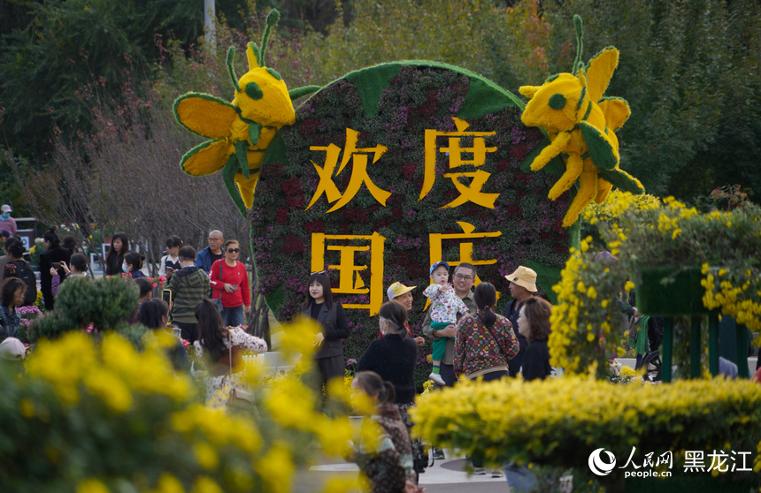 國慶期間，在哈爾濱市香坊區勞動公園內，市民們賞菊花，迎國慶。人民網記者 蘇靖剛攝